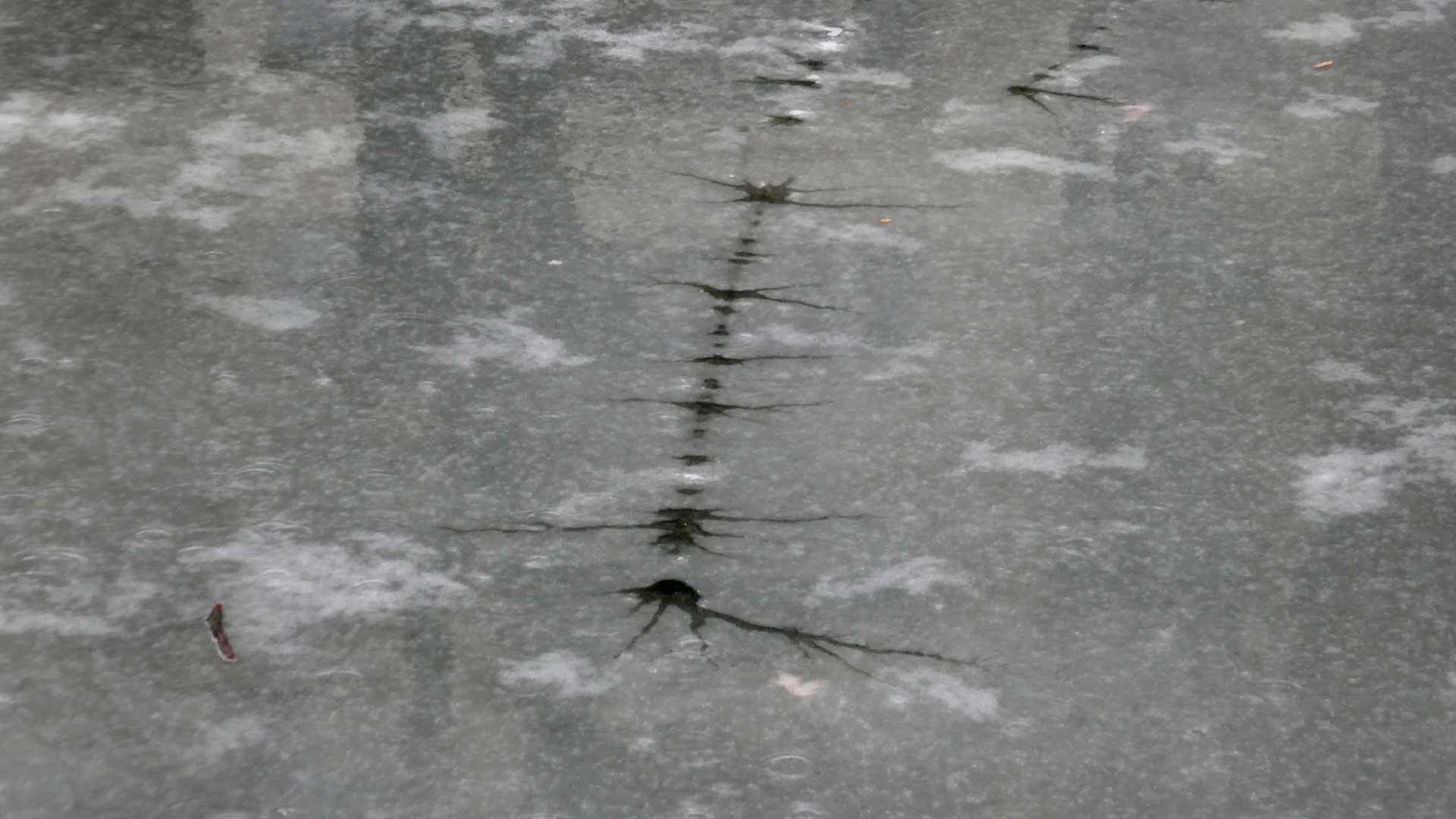 2024-01-22 Schneeschmelze (Audio)